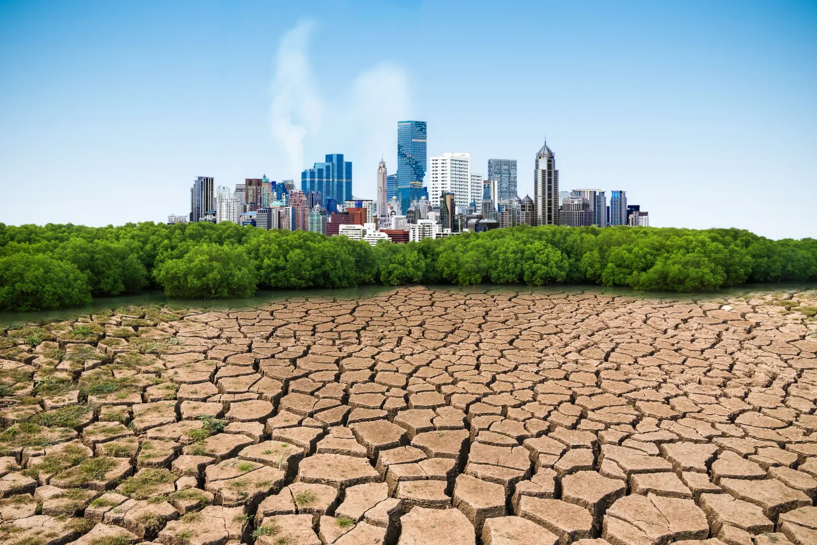 Atomee - Enjeux du Changement Climatique et de la Transition Energétique